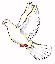 dove